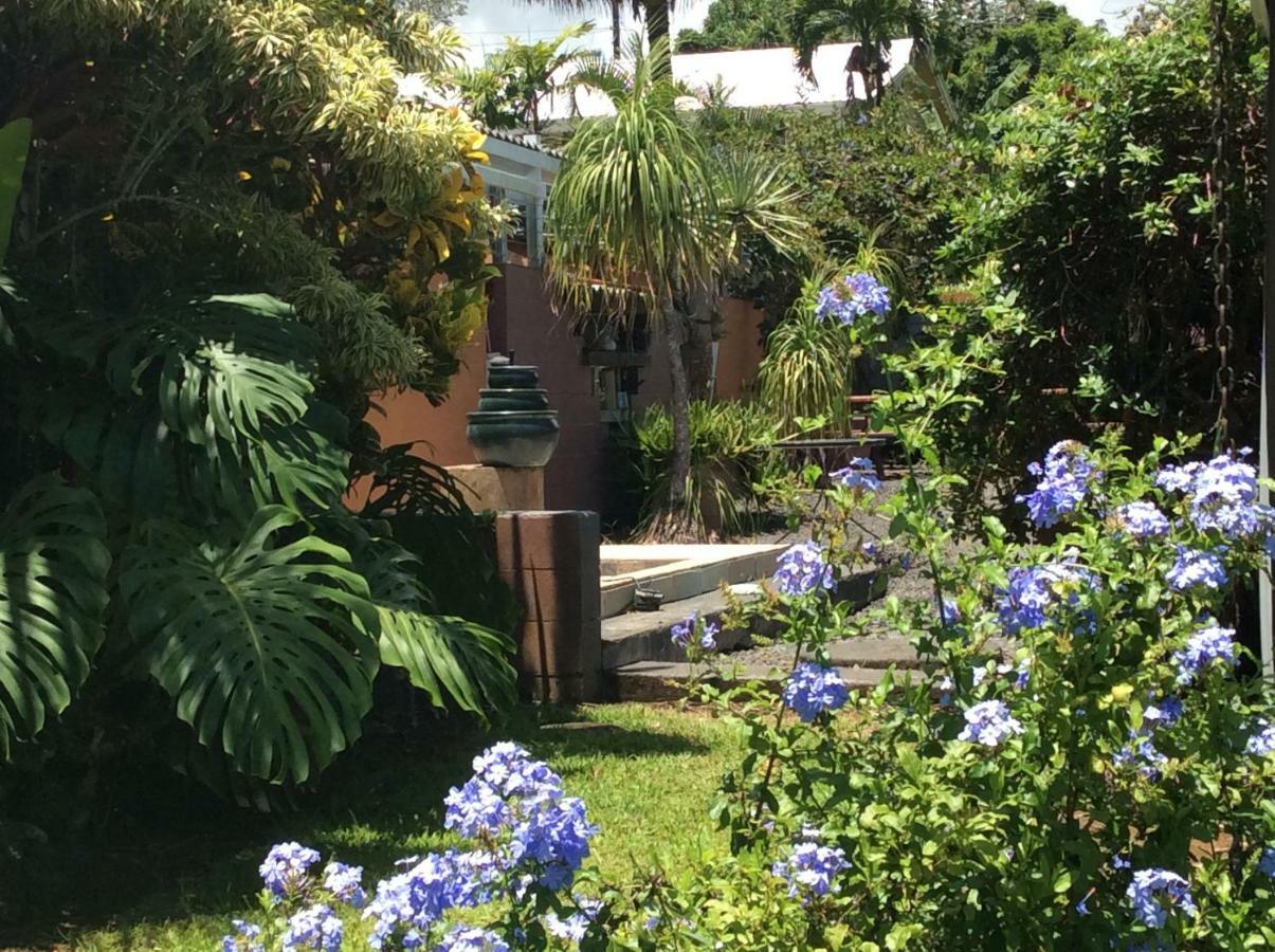 Mediteranean Style Ohana Rental / Garden Bungalow In Pahoa Honolulu Landing Exterior foto